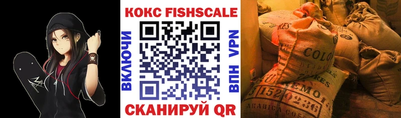 продажа наркотиков  hydra ТОР  COCAIN Эквадор  Оха 