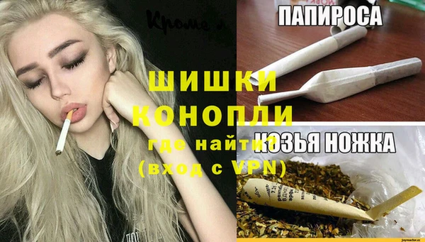 ECSTASY Богородицк