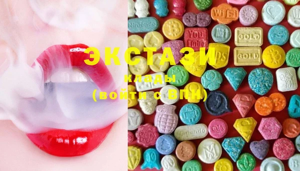 ECSTASY Богородицк
