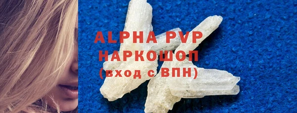 индика Белокуриха