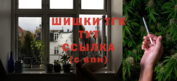 ECSTASY Богородицк